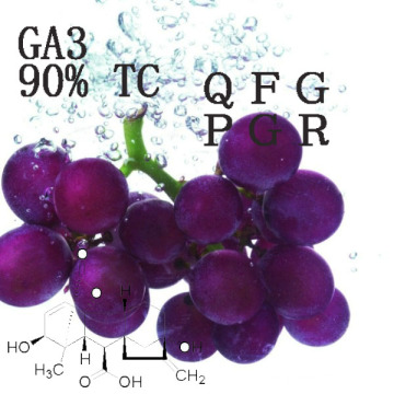 Regulador de crescimento de planta do ácido Gibberellic do GA 3 90% Tc